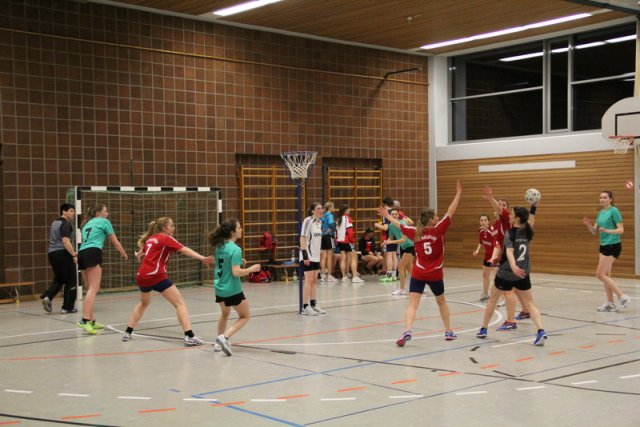 2016_01_23 Landesliga Frauen
